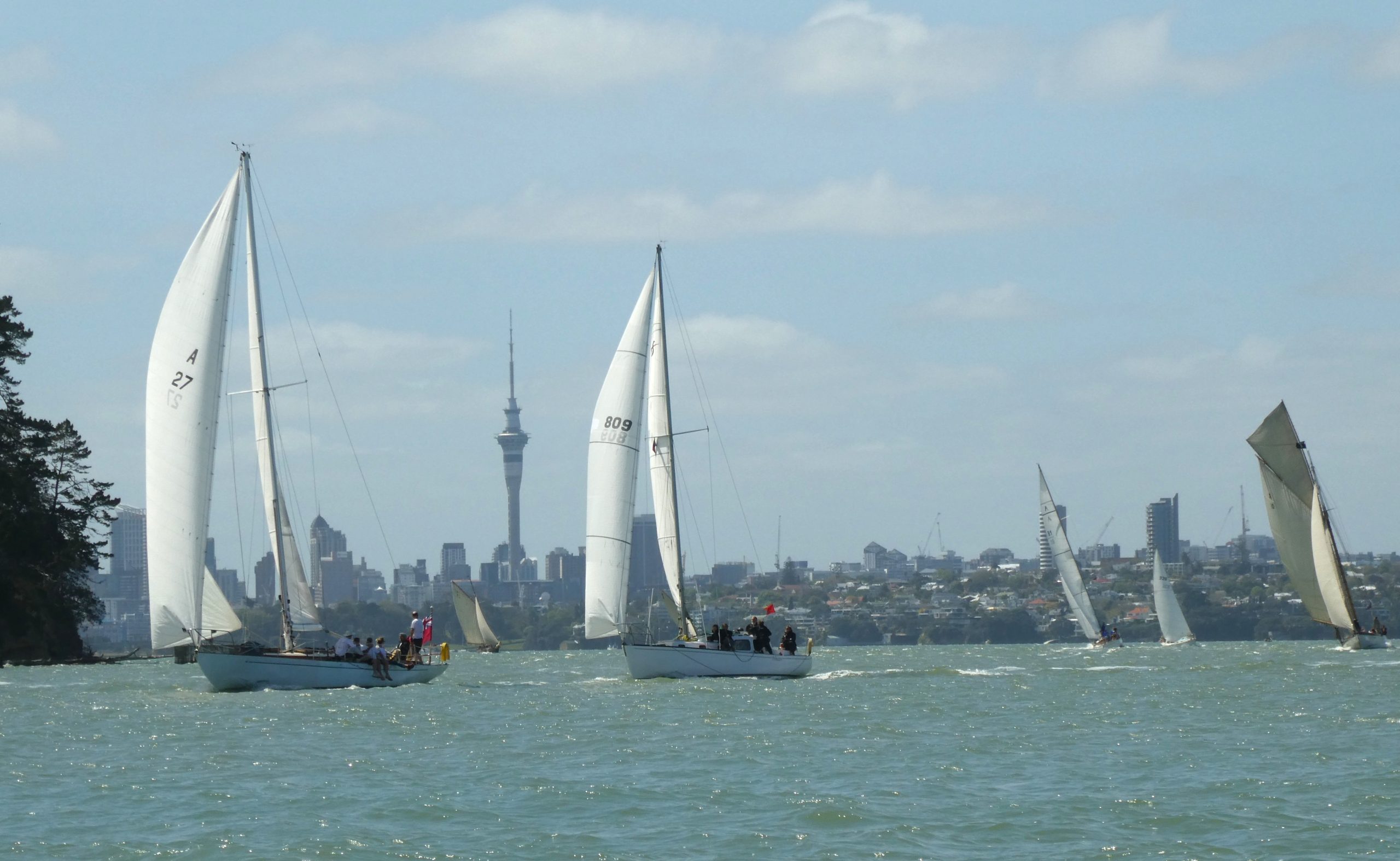 PCC Classic upper harbour 2019 P1020156