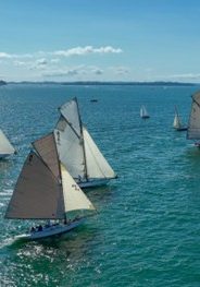 Large fleet on Waitemata