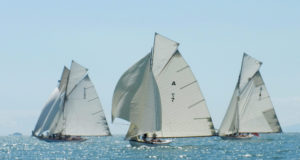 sheerlines newsletter