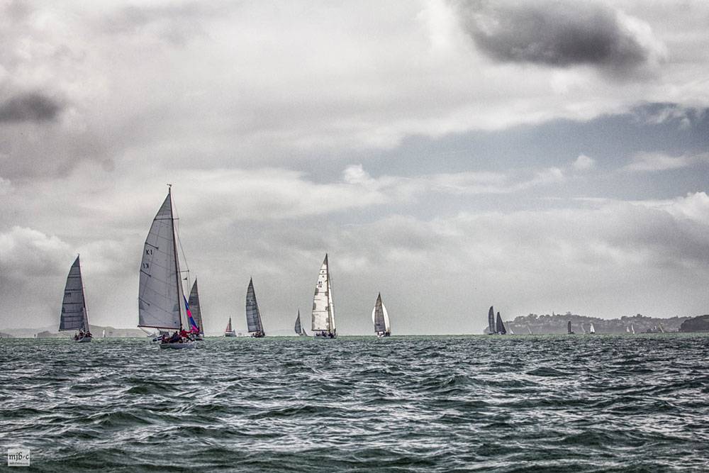 Patio Bay Cake Day Race